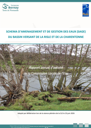 Rapport annuel de la CLE 2025